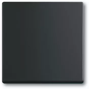 Valguslüliti Busch-Jaeger 1751-0-3041, plastkorpus, must, nupud, 63×63 mm