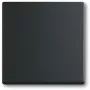Valguslüliti Busch-Jaeger 1751-0-3041, plastkorpus, must, nupud, 63×63 mm