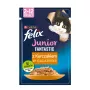 Purina Nestlé Felix Fantastic Junior märg kassitoit, 85 g kotike — kana, 77,5% niiskus, 13,5% valk
