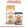 Kuiv kassitoit Royal Canin Ragdoll Adult 2 kg — kana, 32% valku, 18% rasva