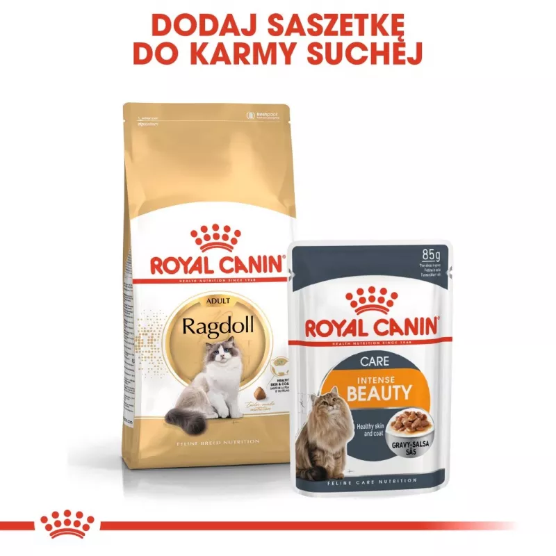 Kuiv kassitoit Royal Canin Ragdoll Adult 2 kg — kana, 32% valku, 18% rasva