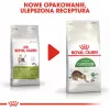 Kuiv kassitoit Royal Canin Active Life Outdoor 4 kg — Täiskasvanud, Linnuliha, 30% valku, 20% rasva