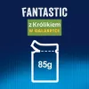 Felix PURINA märg kassitoit kotikeses 85 g — täiskasvanud kassidele küülikumaitseline, 82% niiskust, 11,5% valku