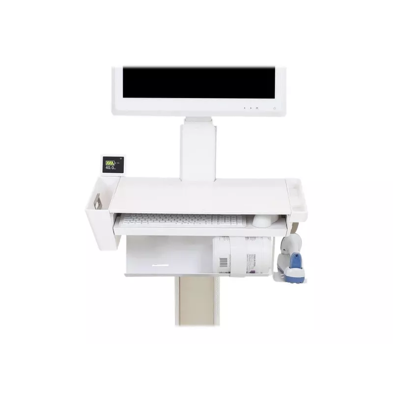 Ergotron 98-250 aku valge