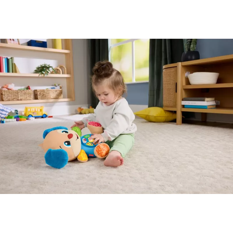 Interaktiivne õppemänguasi MATTEL Fisher-Price Learn & Laugh Puppy JFD27 — tuled, helid, nupud varajaseks õppimiseks