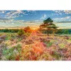 Pusle, schmidt spiele Heath at Sunset, 1000 tk, maaliline kunstiteos