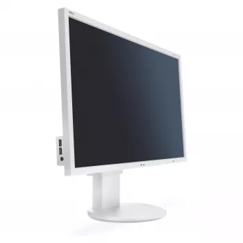 Nec G202591-003A4 Display