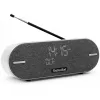 Technisat DigitRadio BT 2 Light hall (0001/3973)