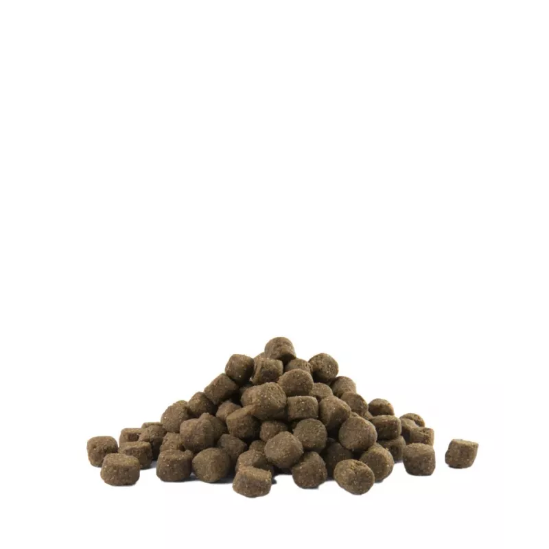 Versele-Laga Adult Digestion Medium & Maxi 12,5 kg täiskasvanud