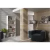 Topeshop R60 BIEL kontori raamaturiiul