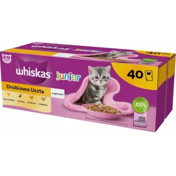 Märg kassitoit Whiskas Junior Poultry in jelly 40 x 85 g — kassipoegadele