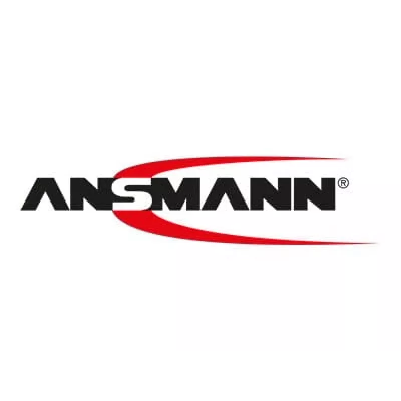 Sisemine akulaadija Ansmann 1001-0013