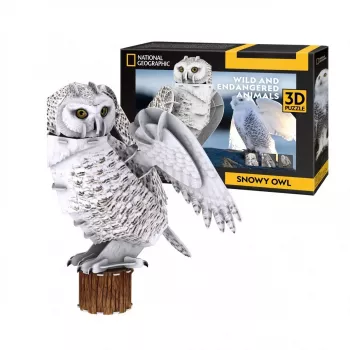 CubicFun 3D pusle NG Lumeöökull 32 tükki Loomad Vanusele 8+