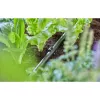 Voolikuhoidja Gardena 13208-20 Must Maasse Paigaldatav