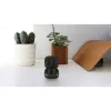 Peakomplekt Lamax Clips1 ANC