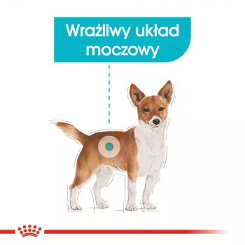 Kuiv koeratoit Royal Canin Mini Urinary Care 3 kg — väikesed tõud, linnuliha, 27% valku, 16% rasva