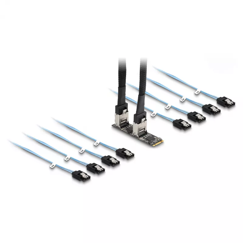 DeLOCK muundur M.2 2280 Key B+M isane 8 × SATA-le