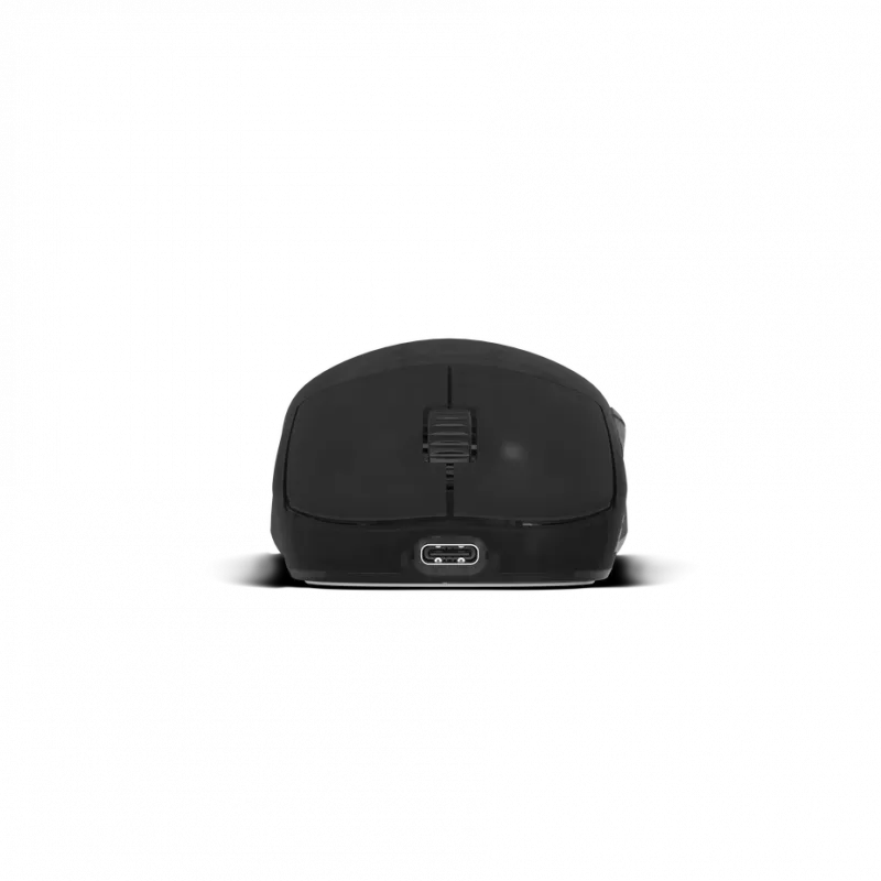 Mängurihiir Endgame Gear OP1w 4k Wireless