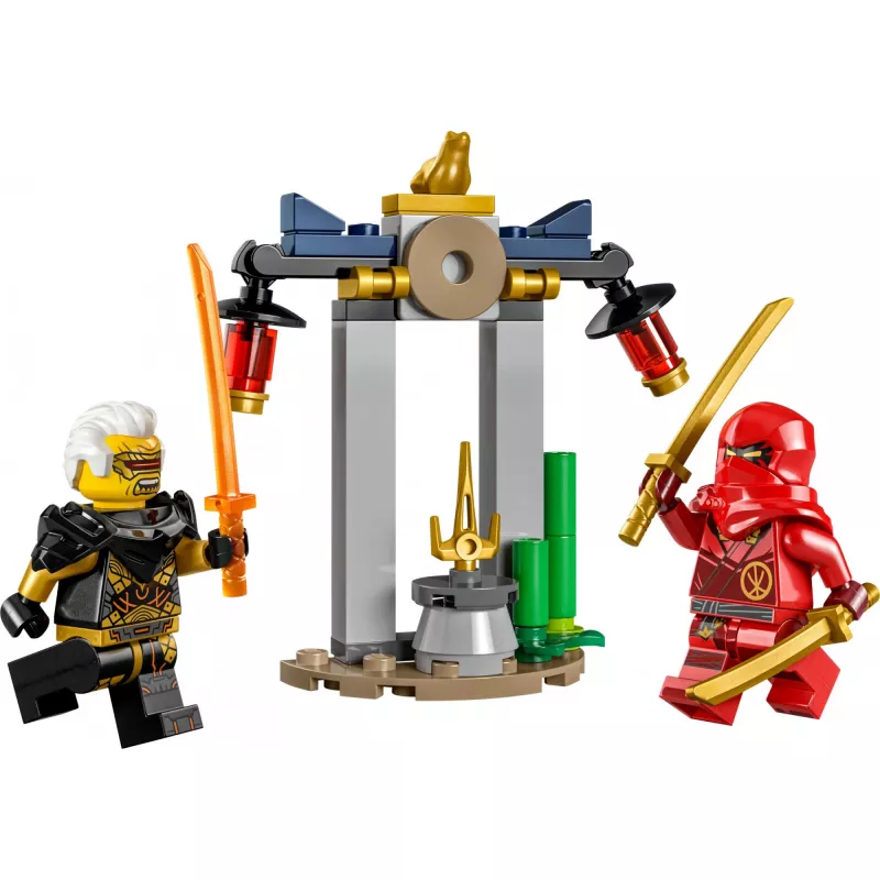 30650 Ninjago Kais and Raptons Duell im Tempel, ehitusmänguasja polükott