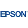Epson C13T56FB00 originaal tindikassett Roheline