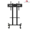 Monitorialus Maclean MC-739 165.1 cm (65 tolli) põrandale Must