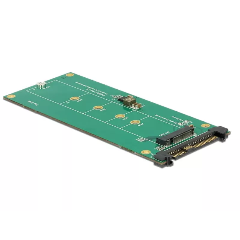 Sisemine M.2 adapter DeLOCK 62865