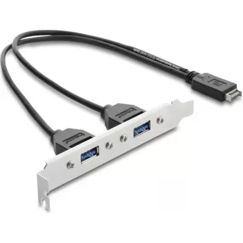 DELOCK USB Type-E Key A ST 2× USB-A 5 Gbps adapter kronsteiniga (mudel 67345)
