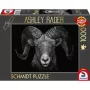 Ashley Rader: Dominance - Widder, Im Zeichen des Feuers, pusle 1000 tükki
