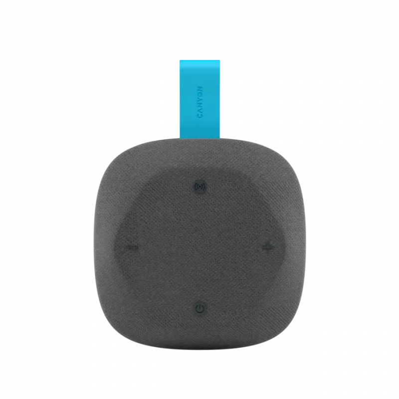Canyon Hexagon 10 - Bluetooth 5.3 kõlar - USB-C - Kaardilugeja - IPX5 - sinakashall