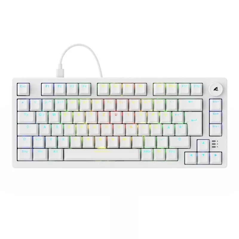 Sharkoon SGK25 75% QWERTZ USB juhtmega RGB LED klaviatuur, valge