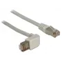DeLOCK võrgukaabel 1m Cat.5e RJ-45 S/FTP Hall