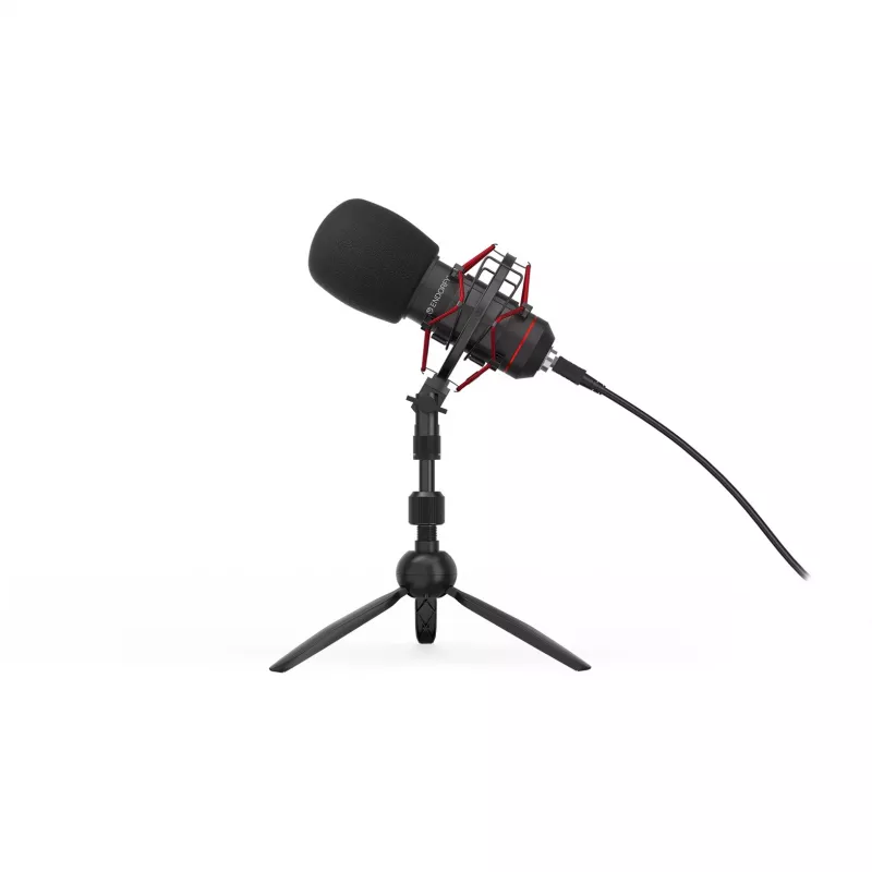 Arvuti mikrofon ENDORFY Solum T