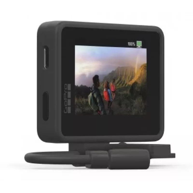 GoPro Display Mod - Display Module