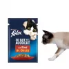 Purina Felix niiske kassitoit kõrge valgusisaldusega 100 g kotike — kala ja kana maitse, täiskasvanud kassidele, pakis 120 tk