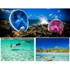 Täisnäo snorkeldamismask Free Breath M2068G S/M — roosa, uduvastane, panoraamvaade
