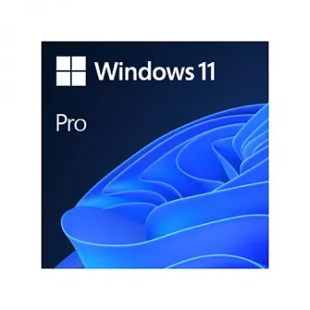 Windows 11 Pro 64Bit DSP 1pk Hollandi DVD