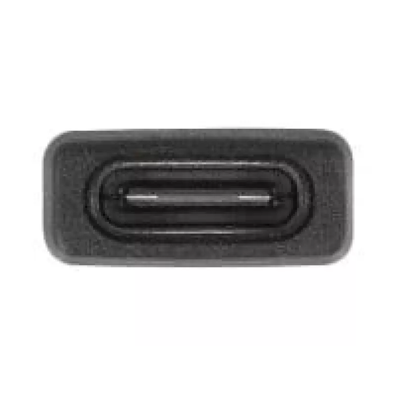 DeLOCK 60001 kaabli soomuundur USB A USB C must