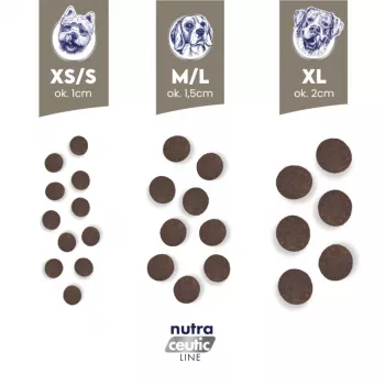 BALTICA Nutraceutic Hüpoallergeenne M küülik riisiga - kuiv koeratoit - 3 kg