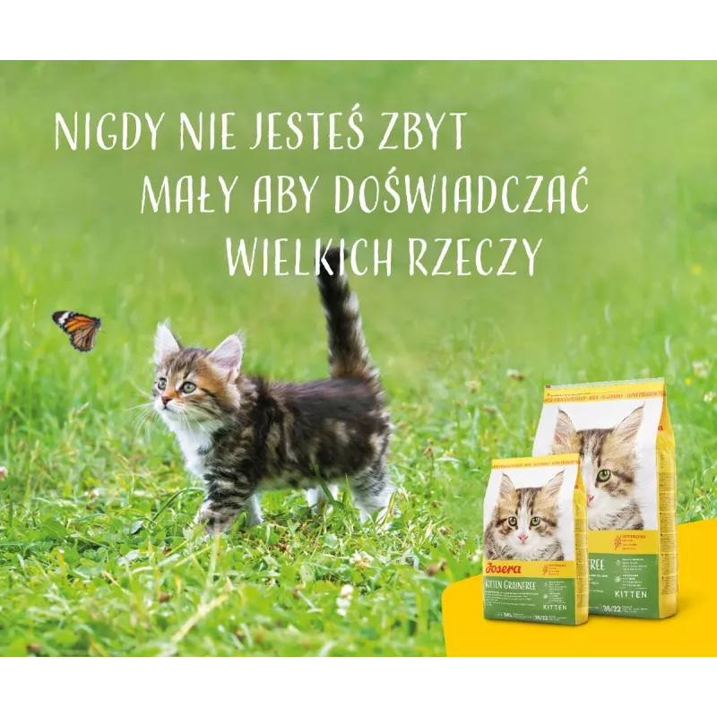 Kuiv kassitoit Josera Kitten Poultry 2 kg