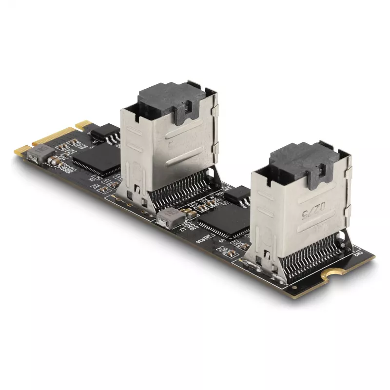 DeLOCK muundur M.2 2280 Key B+M isane 8 × SATA-le