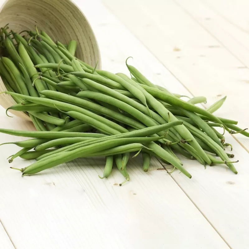 Nomad Green Dwarf Bean Seeds, 50g - köögiviljaseemned