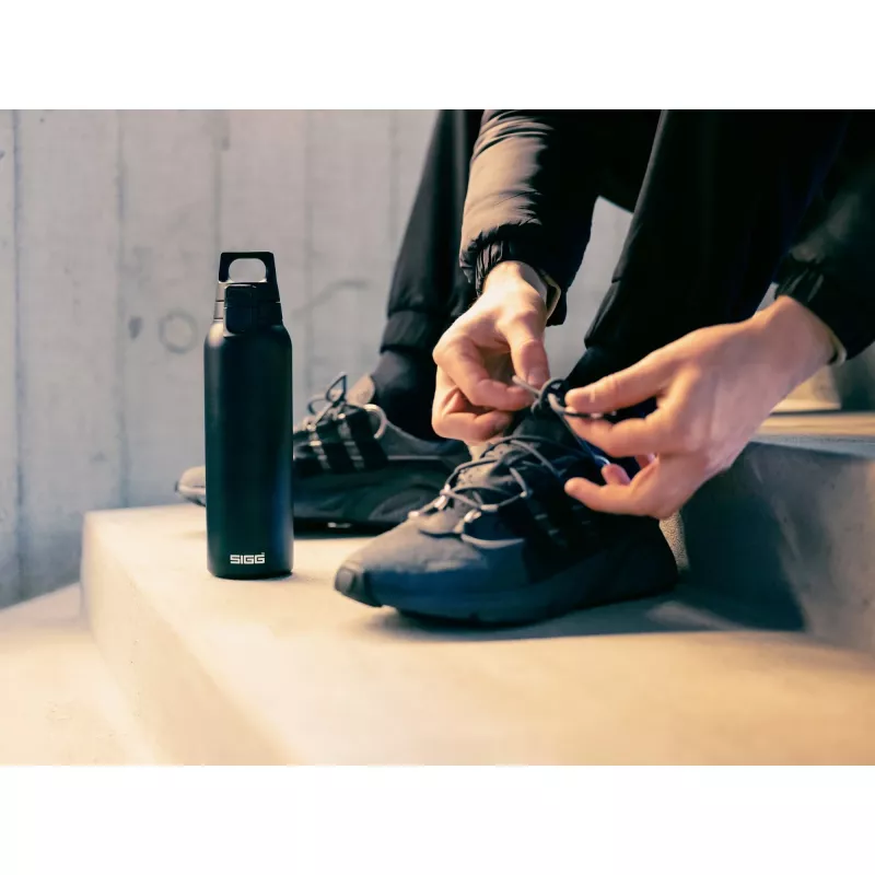 Termospudel SIGG 8998.10 0,55L must roostevaba teras