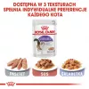 ROYAL CANIN FHN Sterilised kastmes - märg toit täiskasvanud kassidele - 12x85g