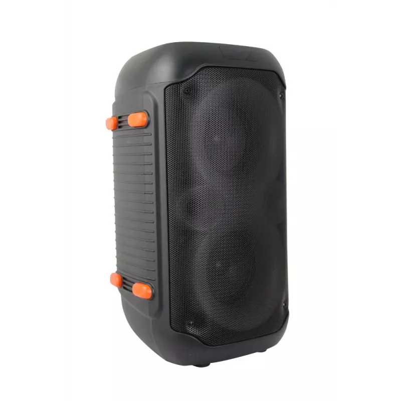 Esperanza EP156 BT FM LED RGB KARAOKE kõlar must 20W