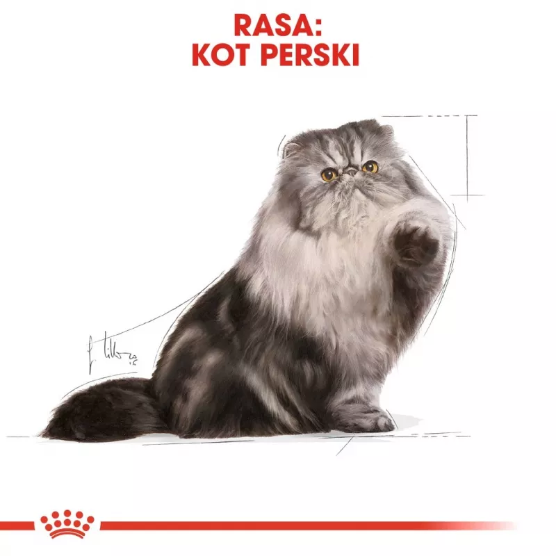 Kuiv kassitoit Royal Canin Persian 4 kg — täiskasvanud pärsia, kana, 30% valku, 22% rasva