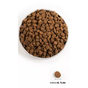 Orijen Regional Punane 2 kg täiskasvanud veiseliha, lambaliha, sealiha
