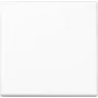 JUNG A1700BFWW A1700BFWW juhtklahv Standard (A1700BFWW)
