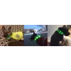 LED-krae Anicoll roheline koertele ja kassidele mudel laetav valgustus