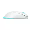 Baracuda BGM-122 Turtle valge hiir TURTLE-W
