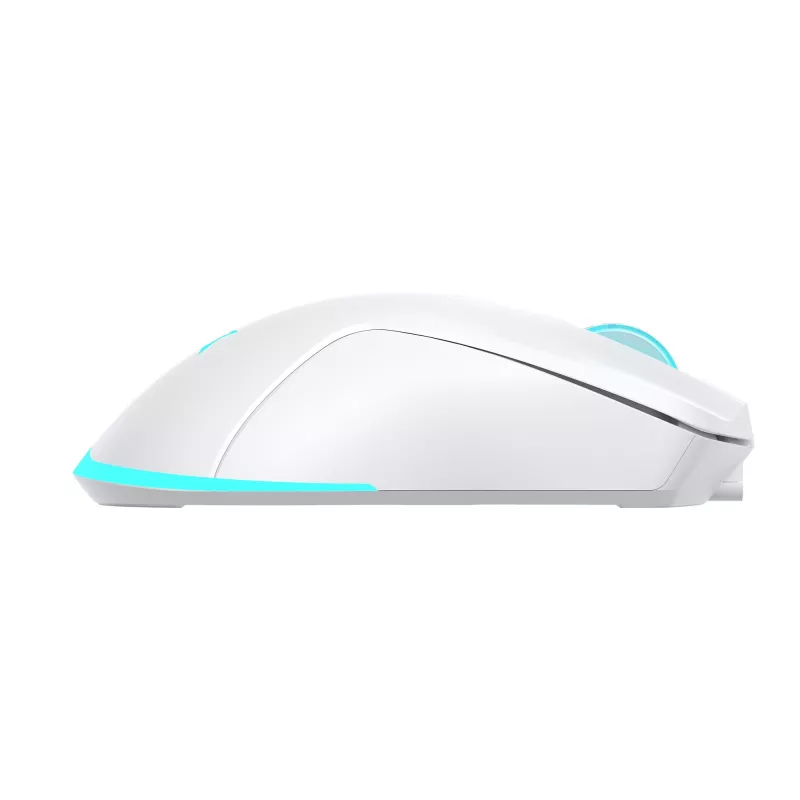 Baracuda BGM-122 Turtle valge hiir TURTLE-W